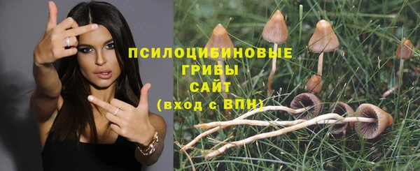 соль курить ск Абаза
