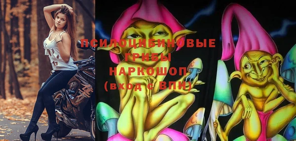 spice Алексеевка