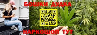 дмт Новодвинск