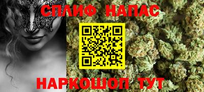 дмт Новодвинск