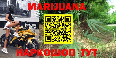 дмт Новодвинск