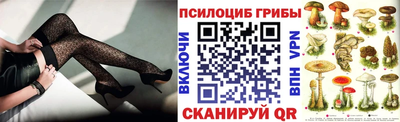 KRAKEN зеркало  где найти наркотики  Черемхово  Галлюциногенные грибы Psilocybine cubensis 