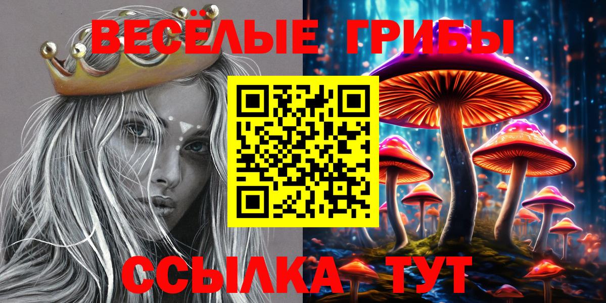 Псилоцибиновые грибы ЛСД  Вход с VPN  Черемхово  Псилоцибиновые грибы мухоморы 